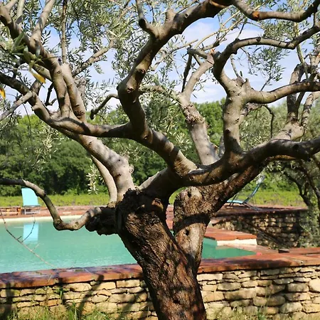 Holiday home Des Amis Domaine De Mas Caron Caromb