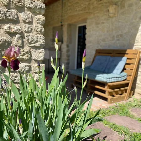 Holiday home Des Amis Domaine De Mas Caron *